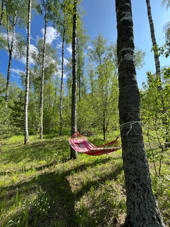 Шале в лесу в Подмосковье со всеми удобствами