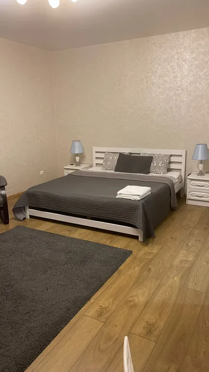 Квартира в центре Светлогорска-2 — аренда посуточно в Светлогорск