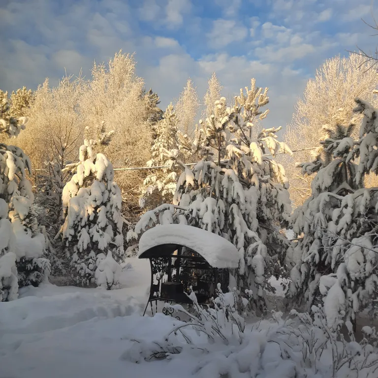 Коттедж Домик под соснами в Свирском — Лодейное Поле