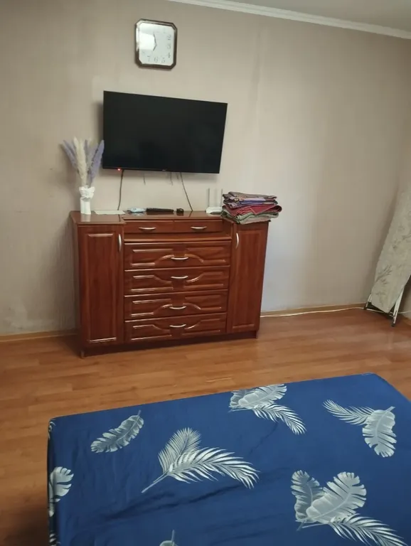 Большая уютная однокомнатная квартира — аренда посуточно в Приморский