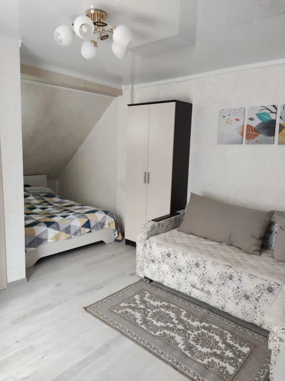 Однокомнатная квартира в коттедже