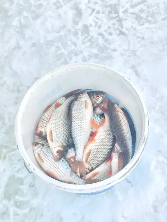 Уютный дом на Рузском водохранилище