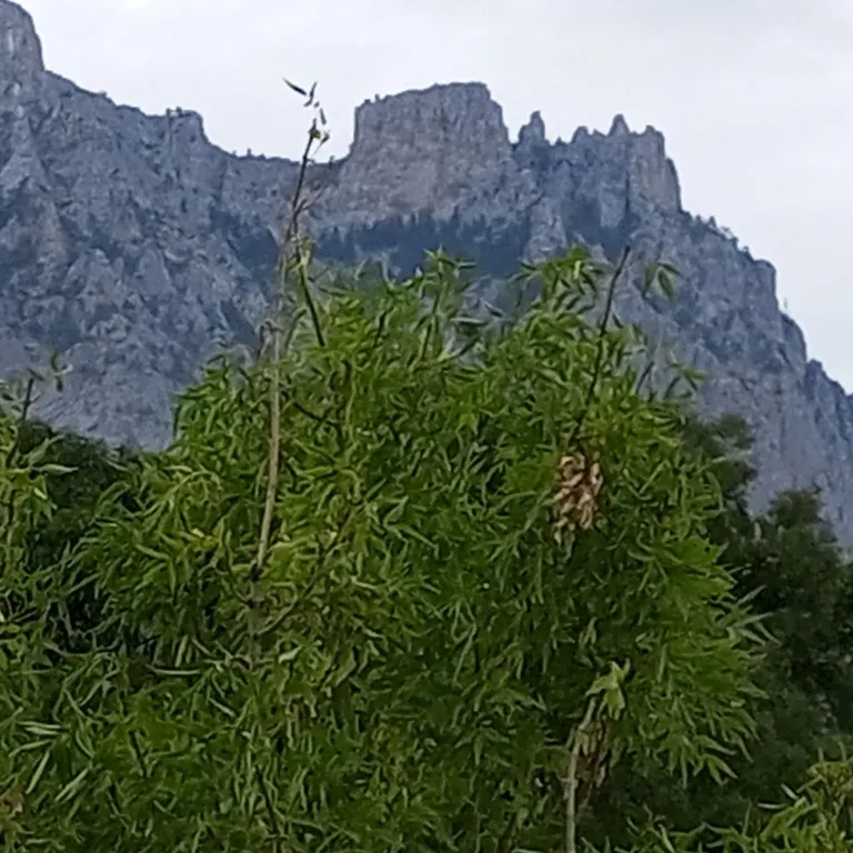 Квартира рядом с морем с шикарным видом