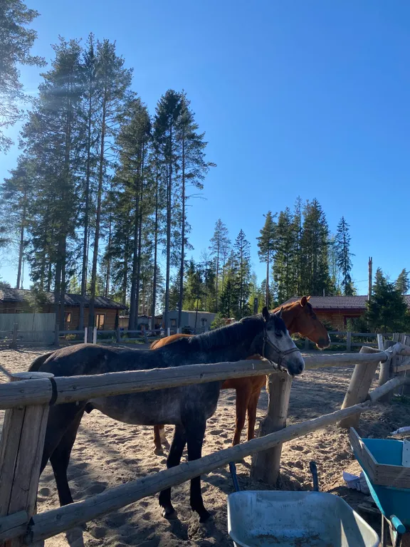 Дом Версаль с уютной террасой