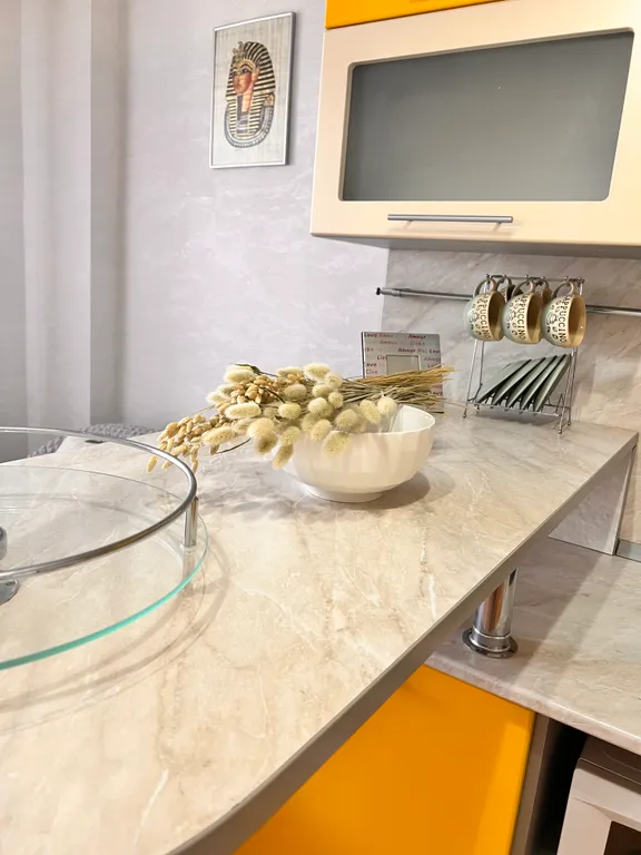 Уютная современная и просторная квартира с большой кухней