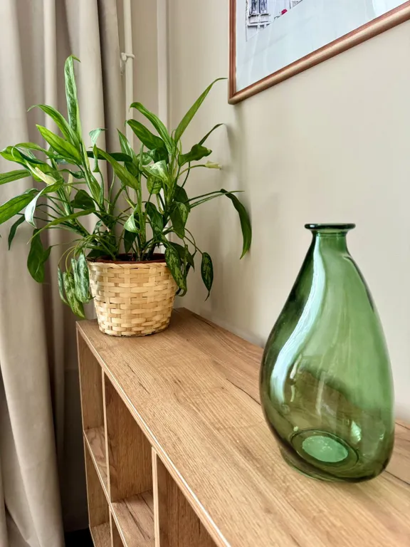 Зеленая квартира