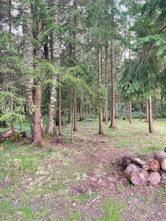 Балийский домик №2 с собственным выходом в лес