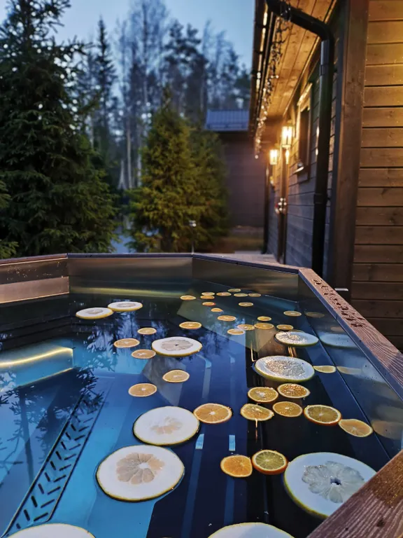 Коттедж Скандинавия