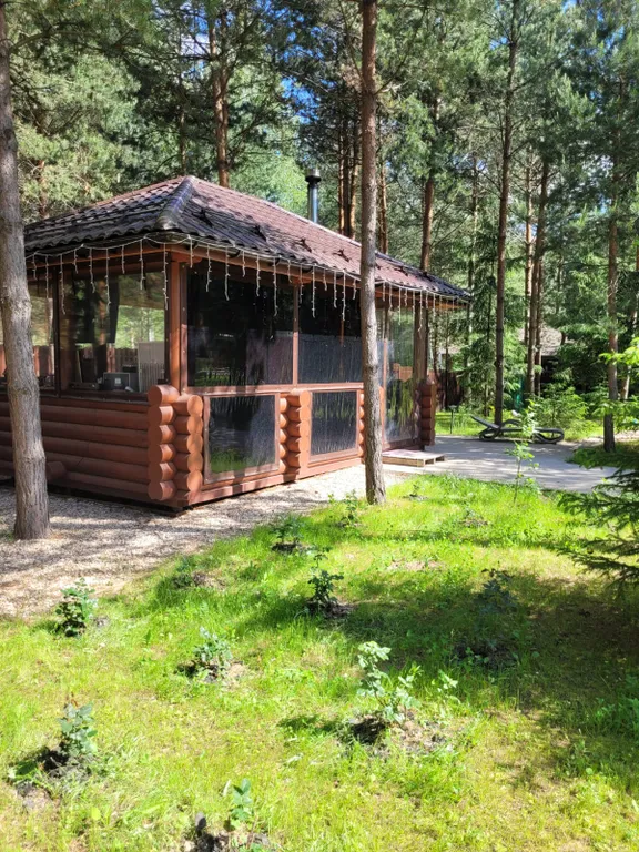 Дом в сосновом лесу