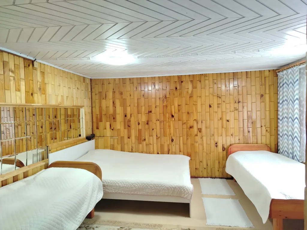 Глубинка Алтая, дом с камином на берегу реки