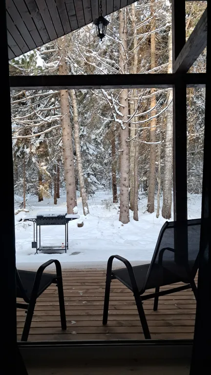 Уютный дом в еловом лесу