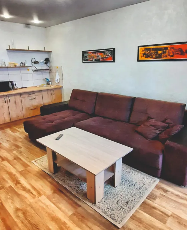 Новая уютная квартира в центре города — аренда посуточно в Барнаул