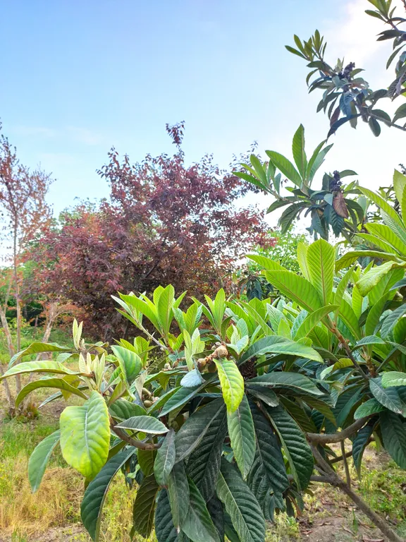 Уютный дом у моря