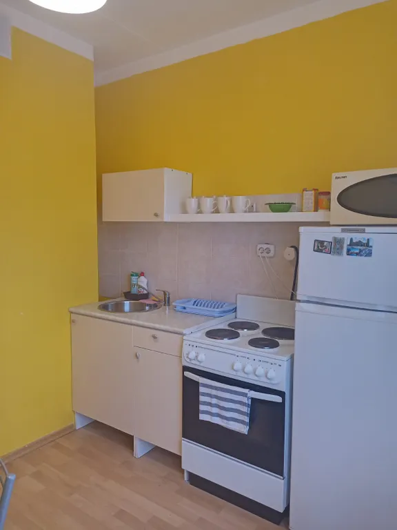 Квартира 1-комнатная Квартира — Пушкин