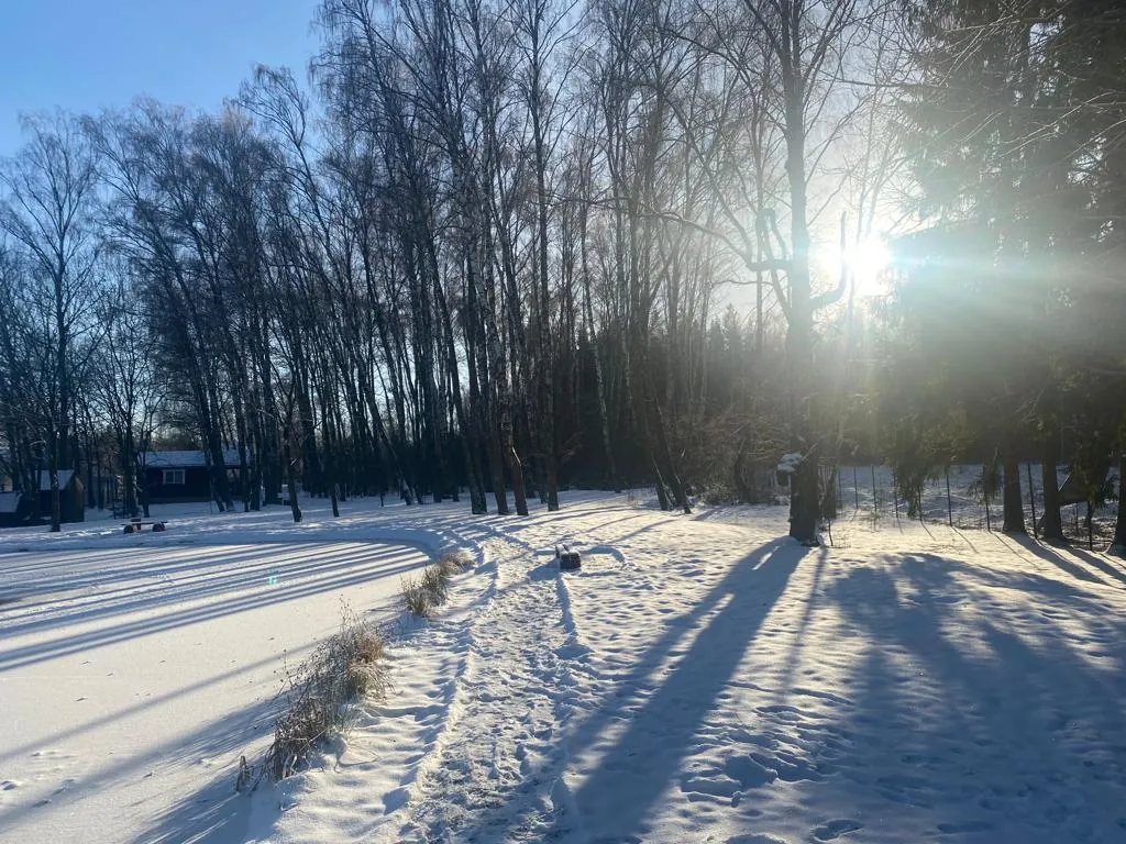 Уютный домик в лесу у пруда