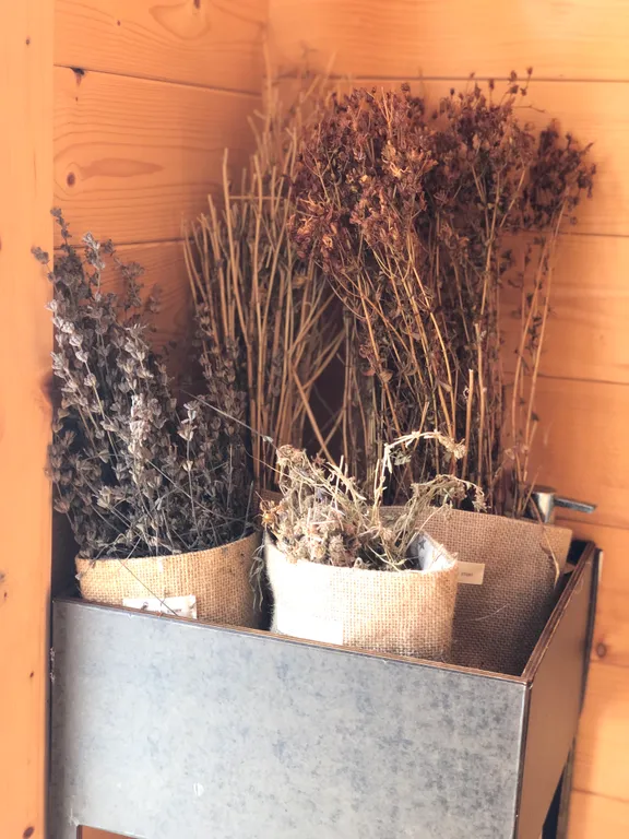 Коттедж Дом на прилесном участке в окружении реки — Горки