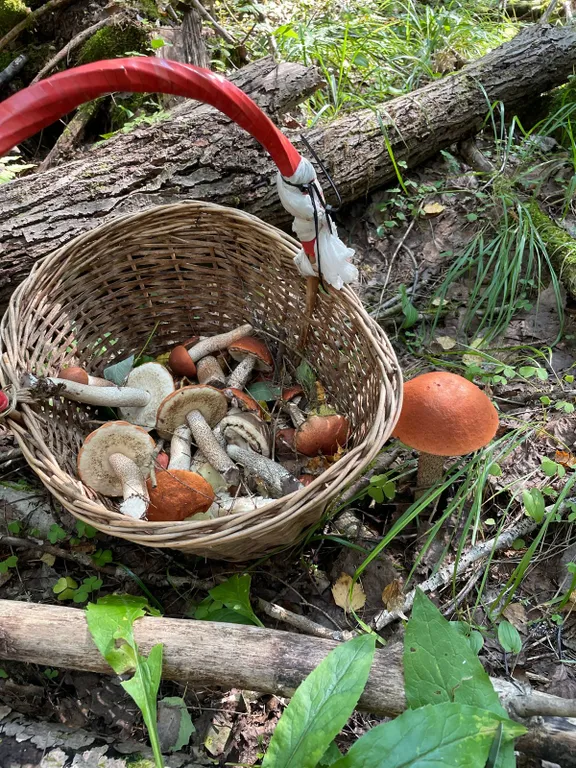 Коттедж Уютные дома аттик А-фрейм у Снетковского озера — Ларионово