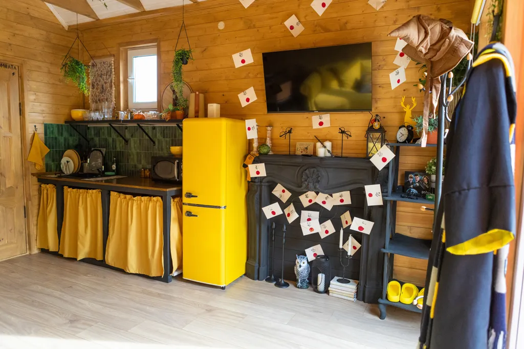 Дом Пуффендуй (чан входит в стоимость)