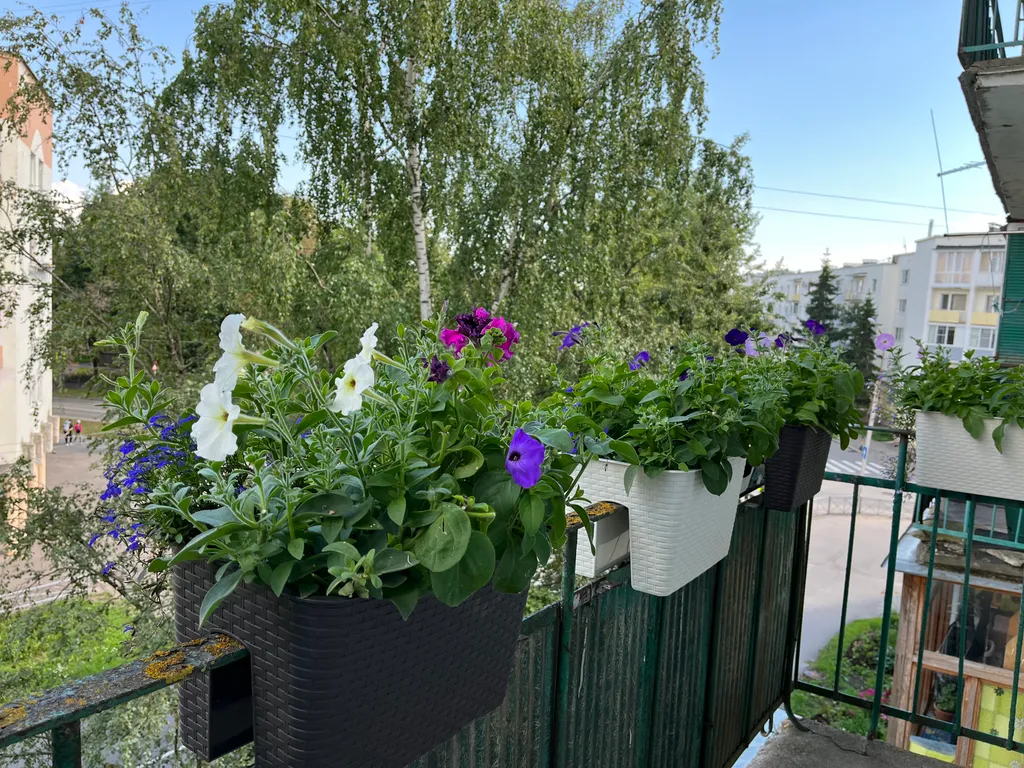 Грин Дрим (Green dream), уютная, душевная квартира в центре города