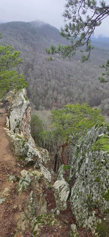 Прекрасная база отдыха в горах "Дубровский клуб"