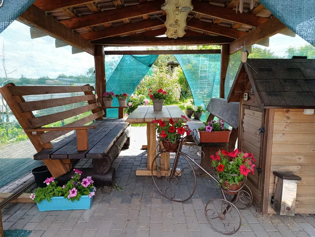 Уютный домик в деревне с беседкой и мангалом на улице