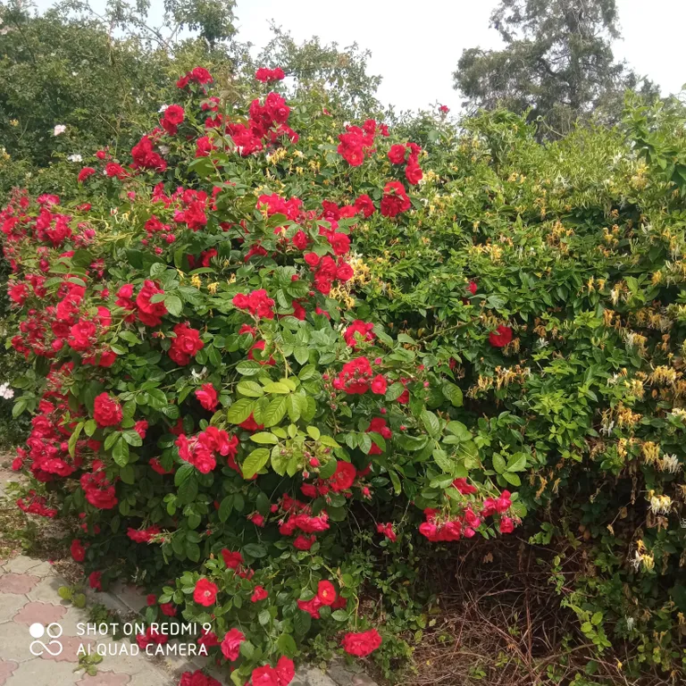 Квартира Квартира Двухместный номер люкс в "Райском уголке" — Стерегущее