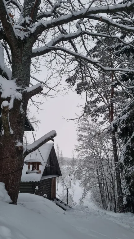 Дом на озере