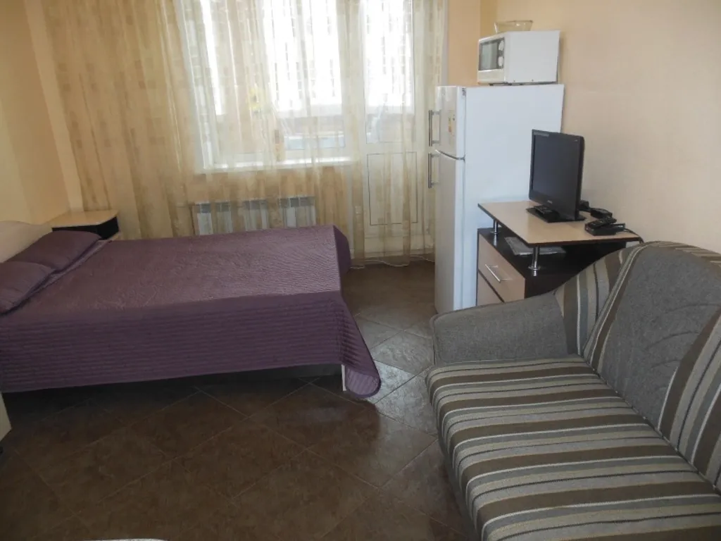 1-комнатная уютная квартира-студия — аренда посуточно в Новосибирск