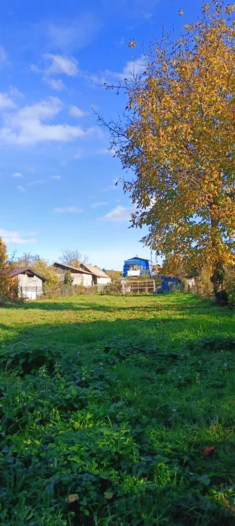 Домик в центре