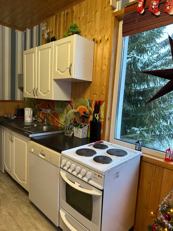 Дом в Карелии с печью-камином и видом на лес