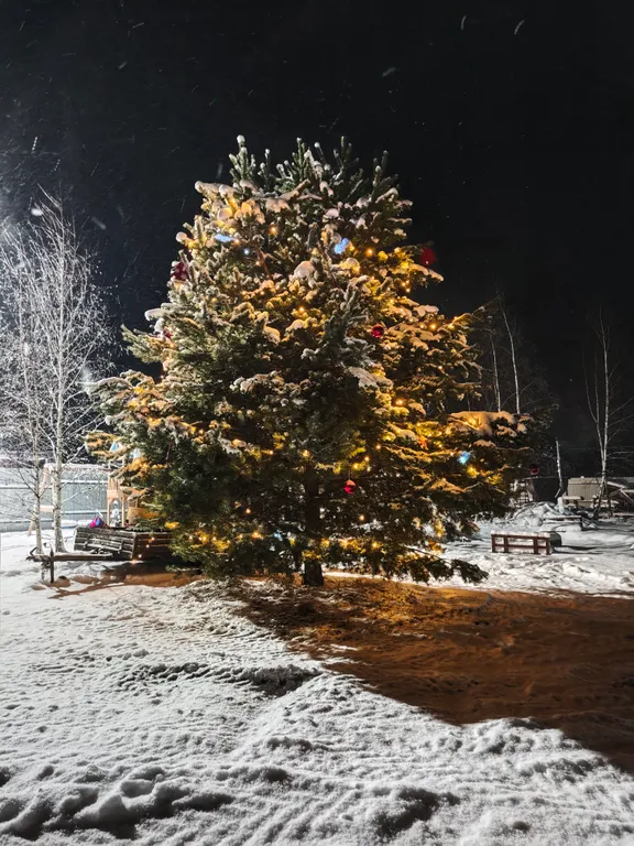 Дом с видом на лес дача лесника