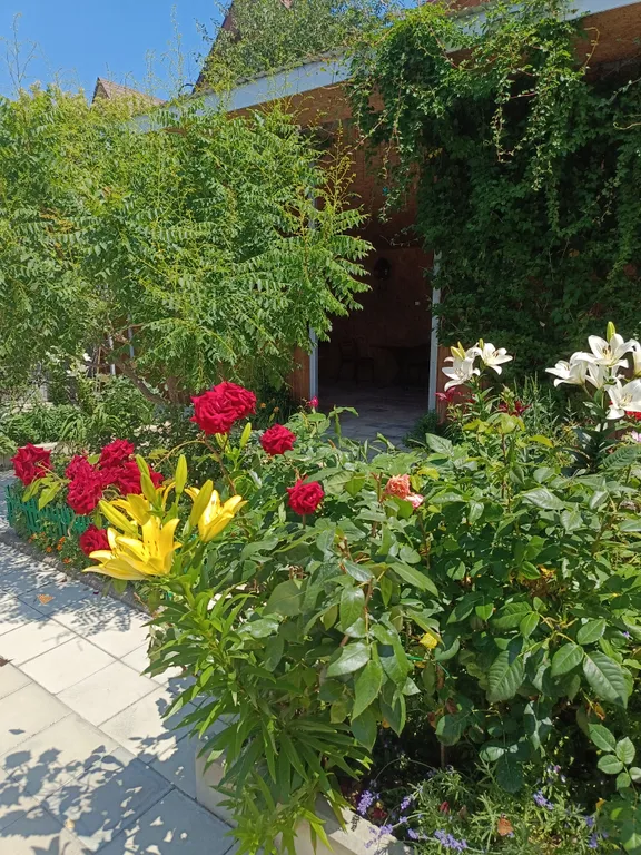 Комната у моря