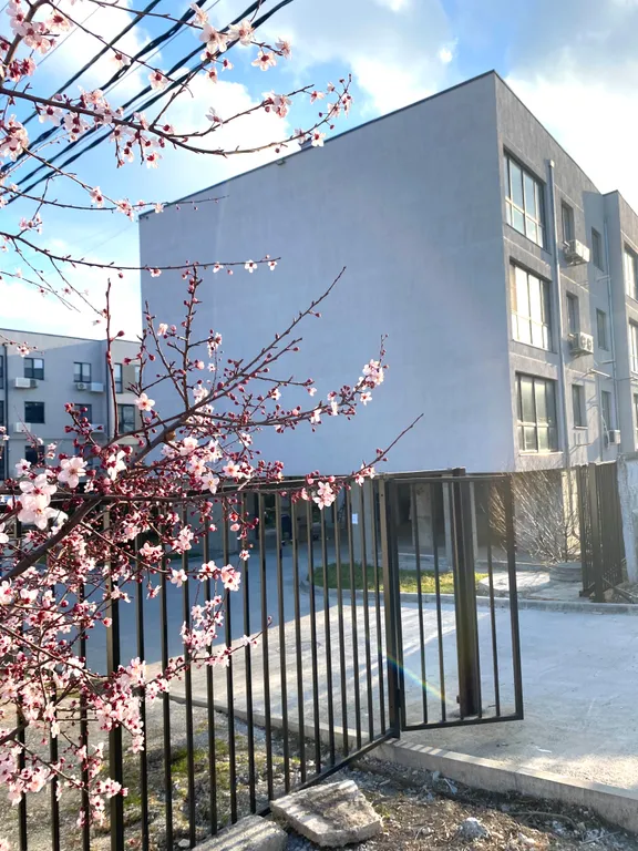 Апартаменты у моря