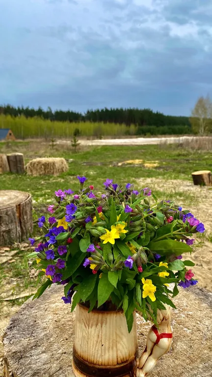 Загородный дом в лесу с купелью и баней у озера