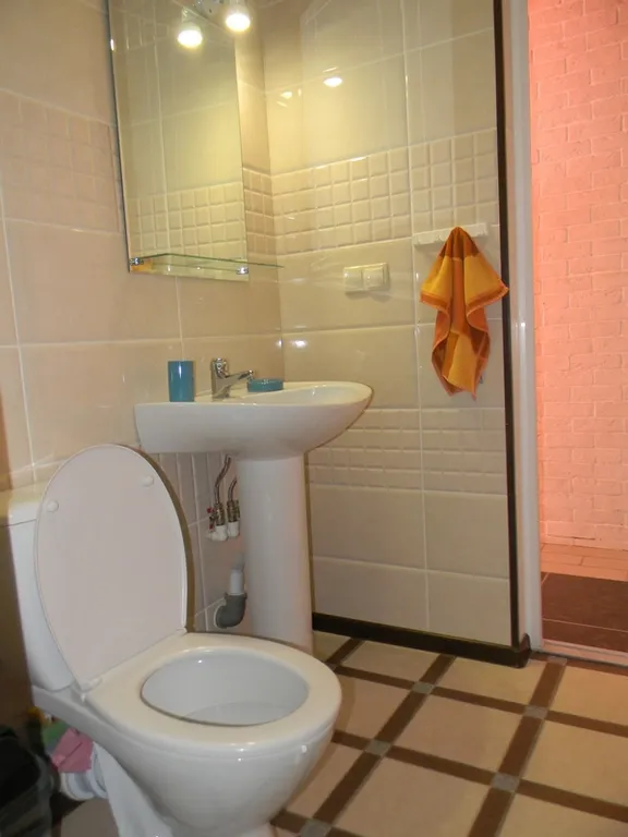 Коттедж Уютный домик с личной кухней — Сенной