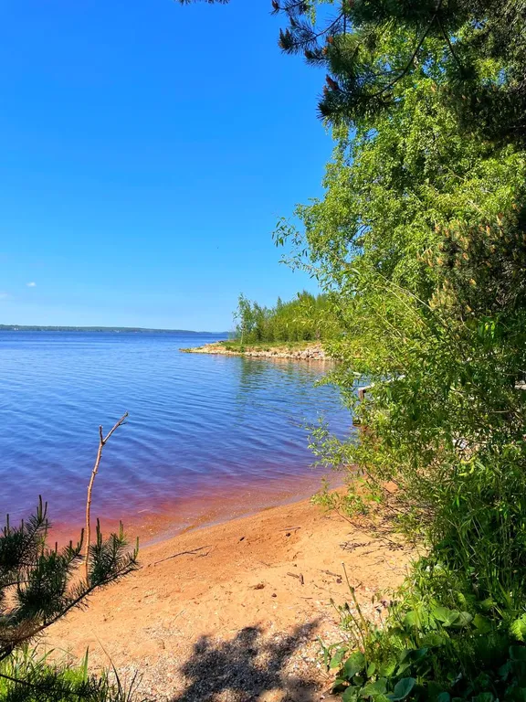 Садовый домик в сосновом бору в 100 метрах от озера