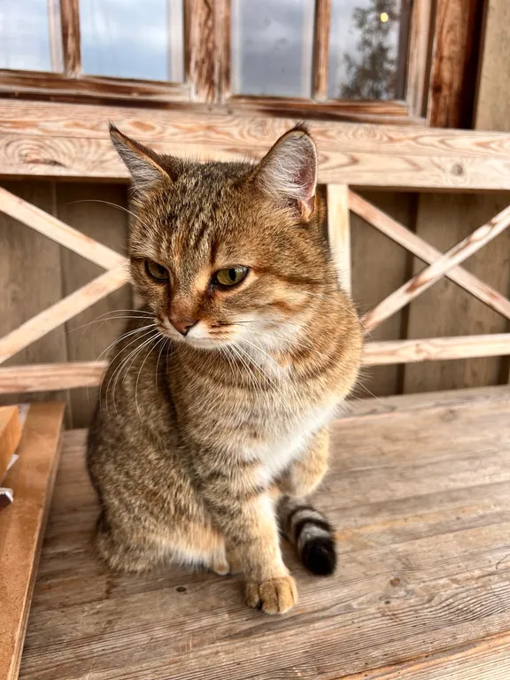 Агроусадьба Ивановых, старый хутор Тауно Туоми