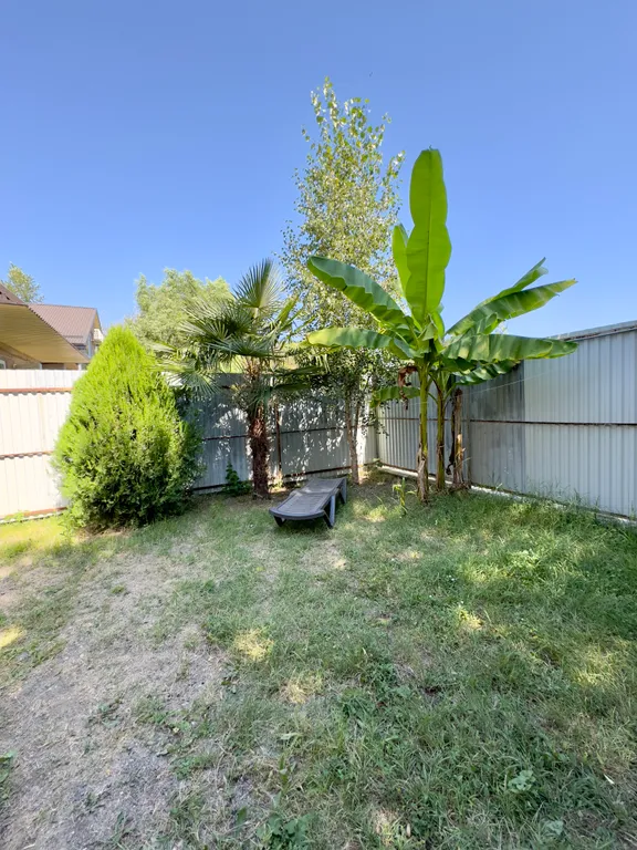 Домик у моря, в единственном лиановом лесу в России