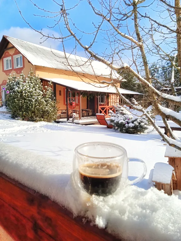 Коттедж под Минском с баней, озером, беседкой