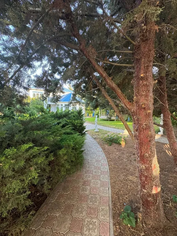 Дом с бассейном