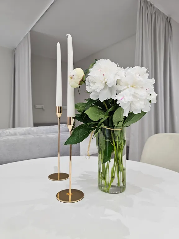 Уютная студия Светлогорск сибирский переулок 2а