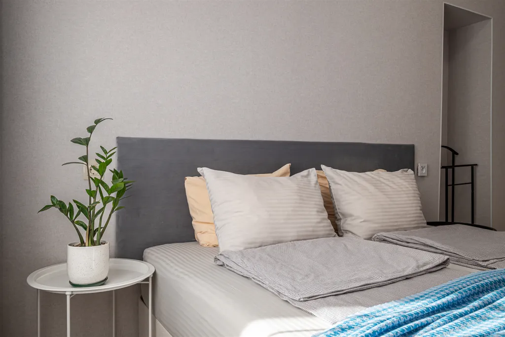 Квартира в центре с видом на лес.