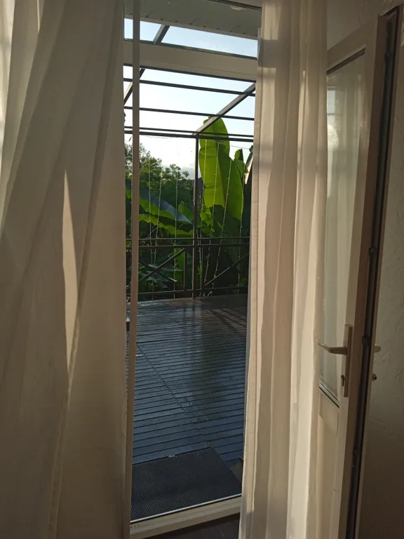 Квартира Уютная квартира в живописном месте напротив Курортного Городка — Адлер