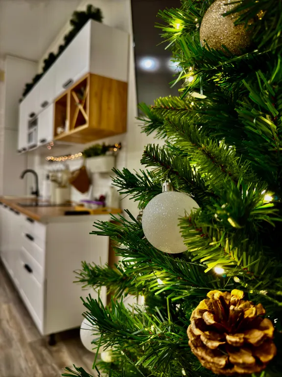 Панорамные эко-апартаменты для вашего идеального отдыха