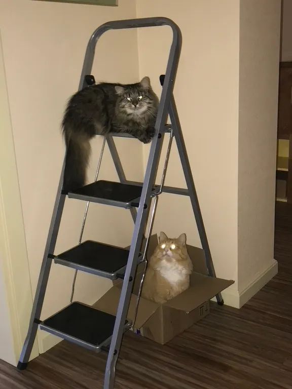 Квартира Весь второй этаж двухуровневой квартиры — Зеленоградск