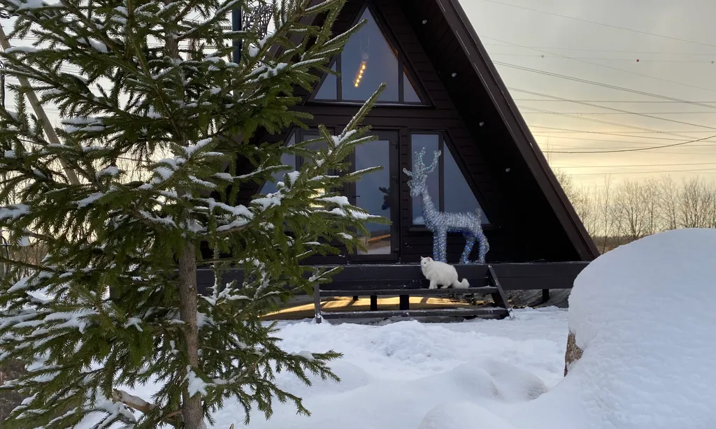 Коттедж Уютный А-Дом рядом с туутари-парком — Ломоносов