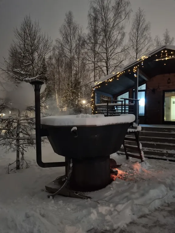 Новый гостевой дом на озере, Загорье дача