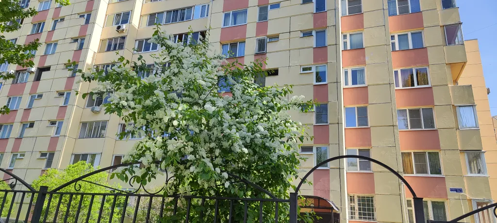 Уютная светлая квартира рядом с метро Ленинский