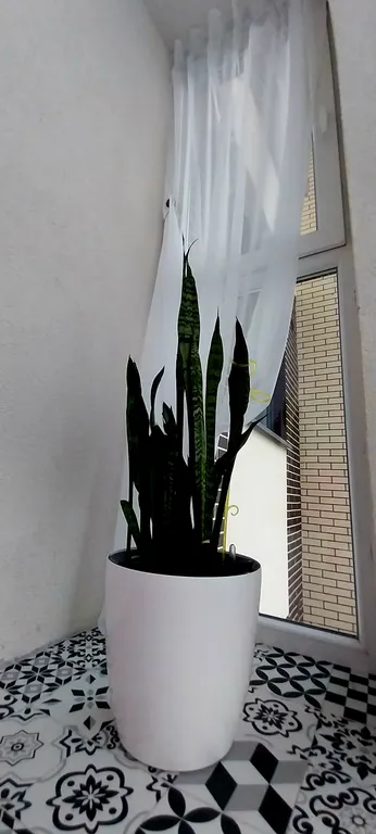 Квартира-элегантная бабочка