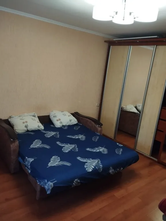 Большая уютная однокомнатная квартира